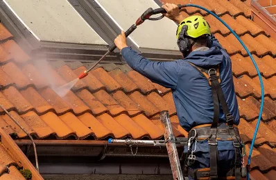 Démoussage et hydrofuge de toiture à Louzignac